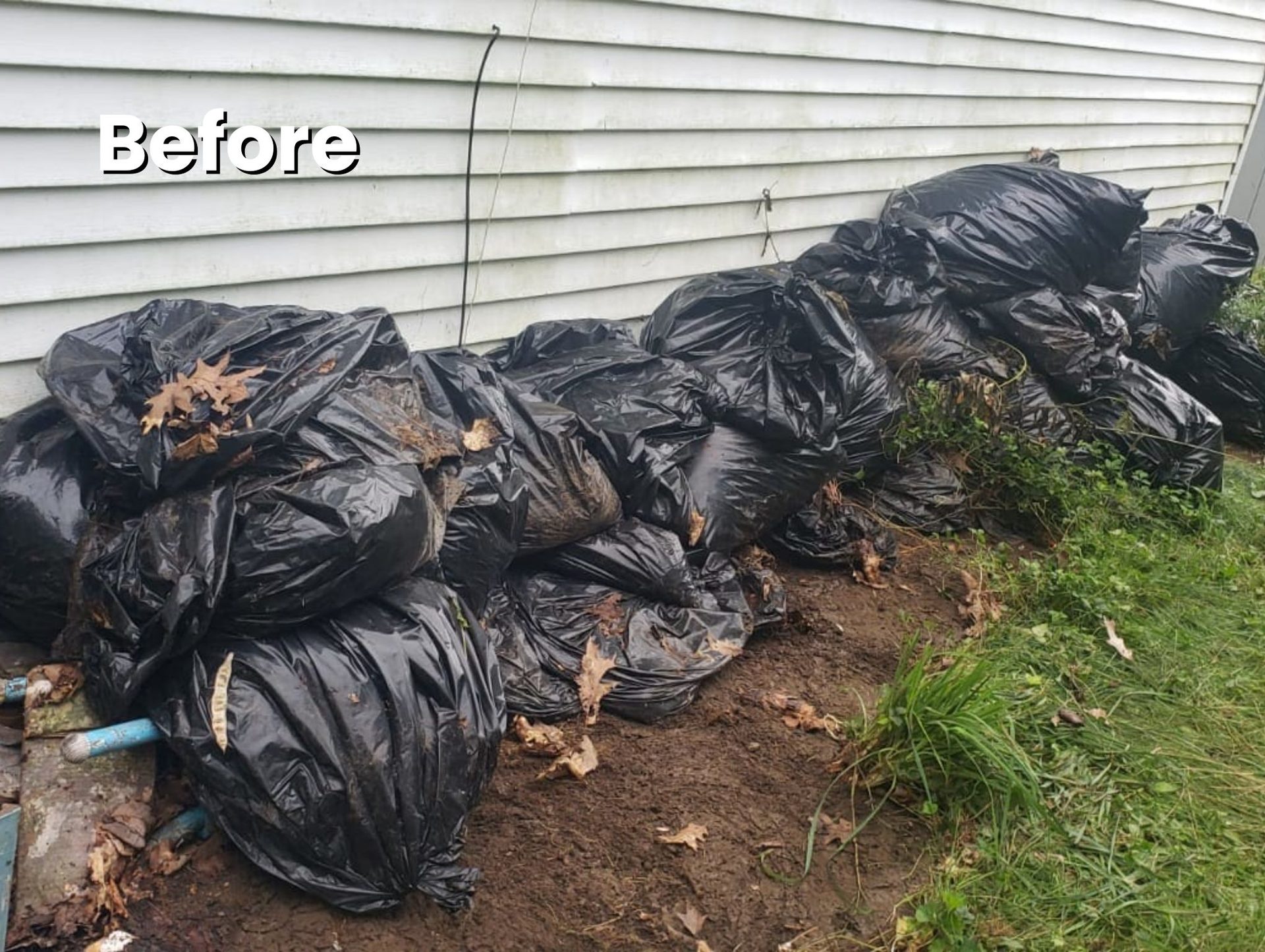 Bagged debris before removal