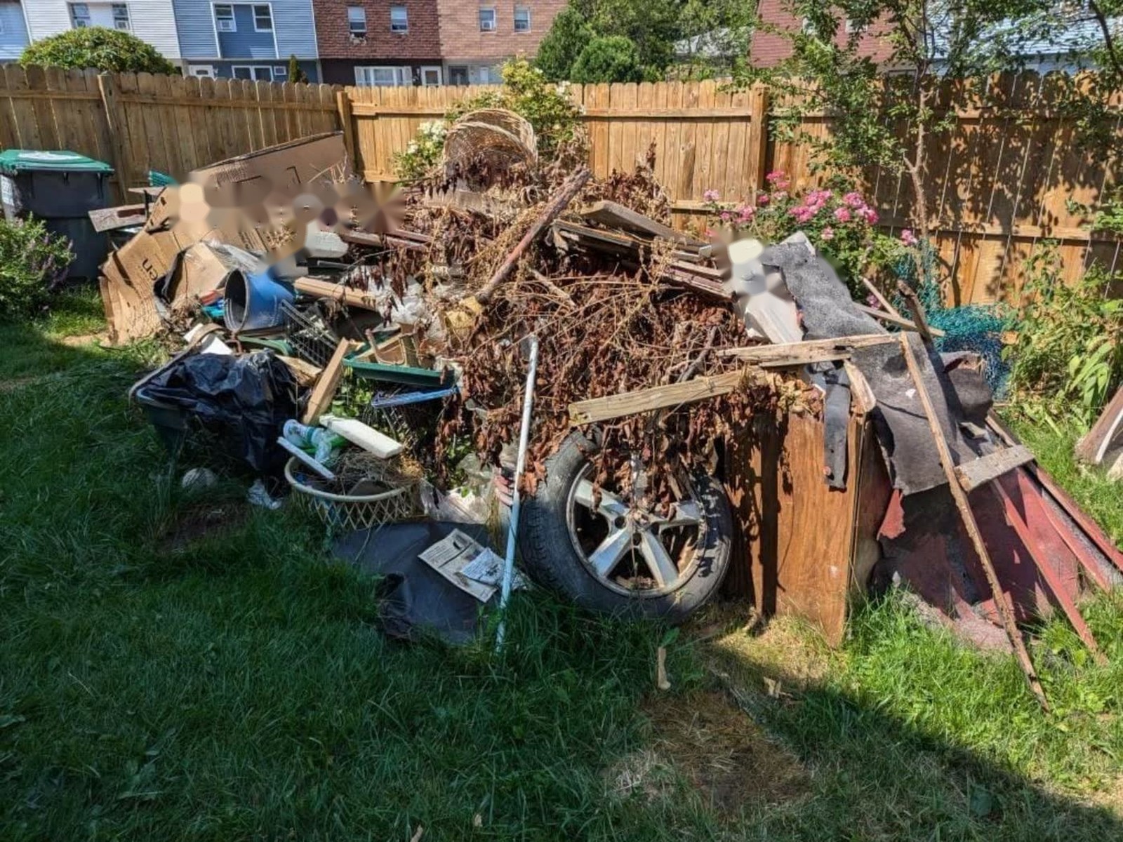 Backyard debris pile before removal