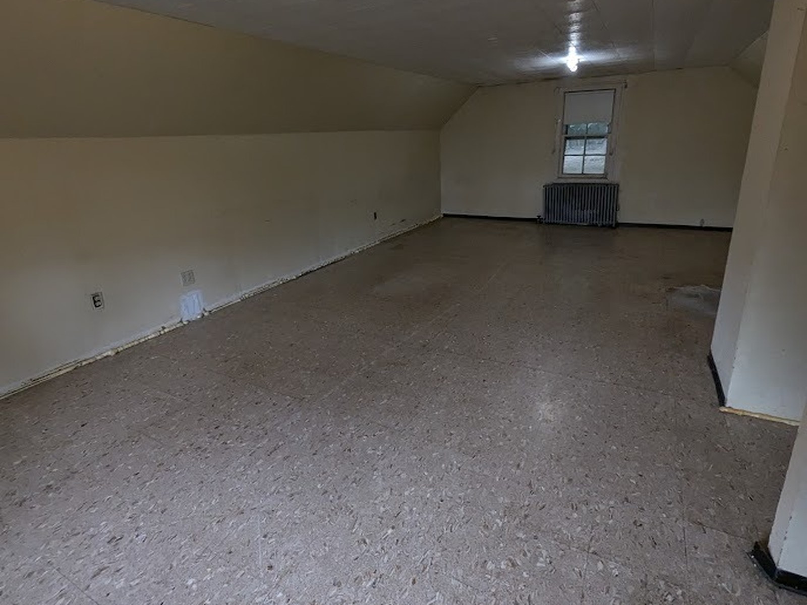 Basement after full cleanout