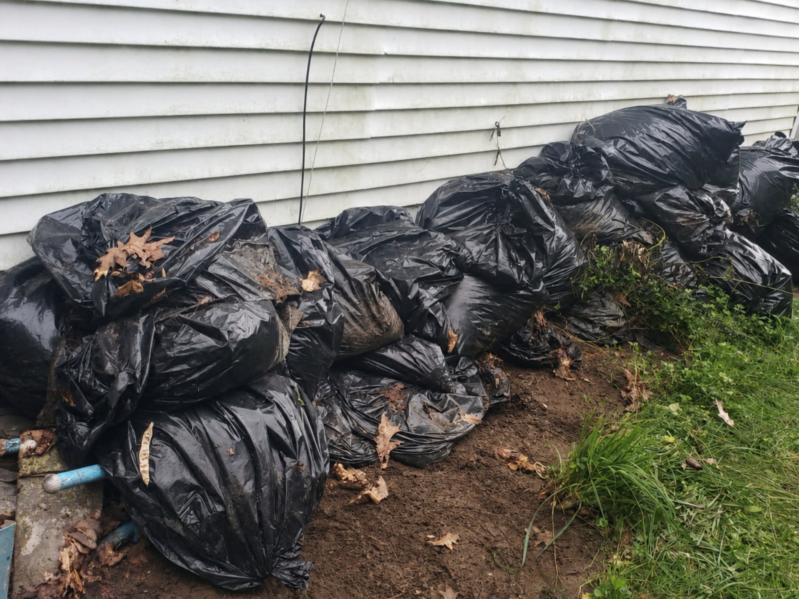Bagged debris before removal