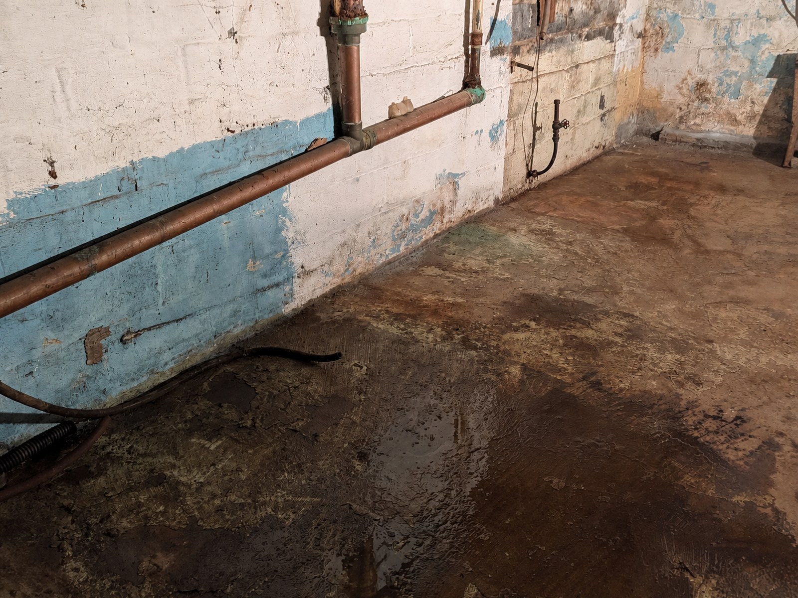 Basement utility area after cleanout