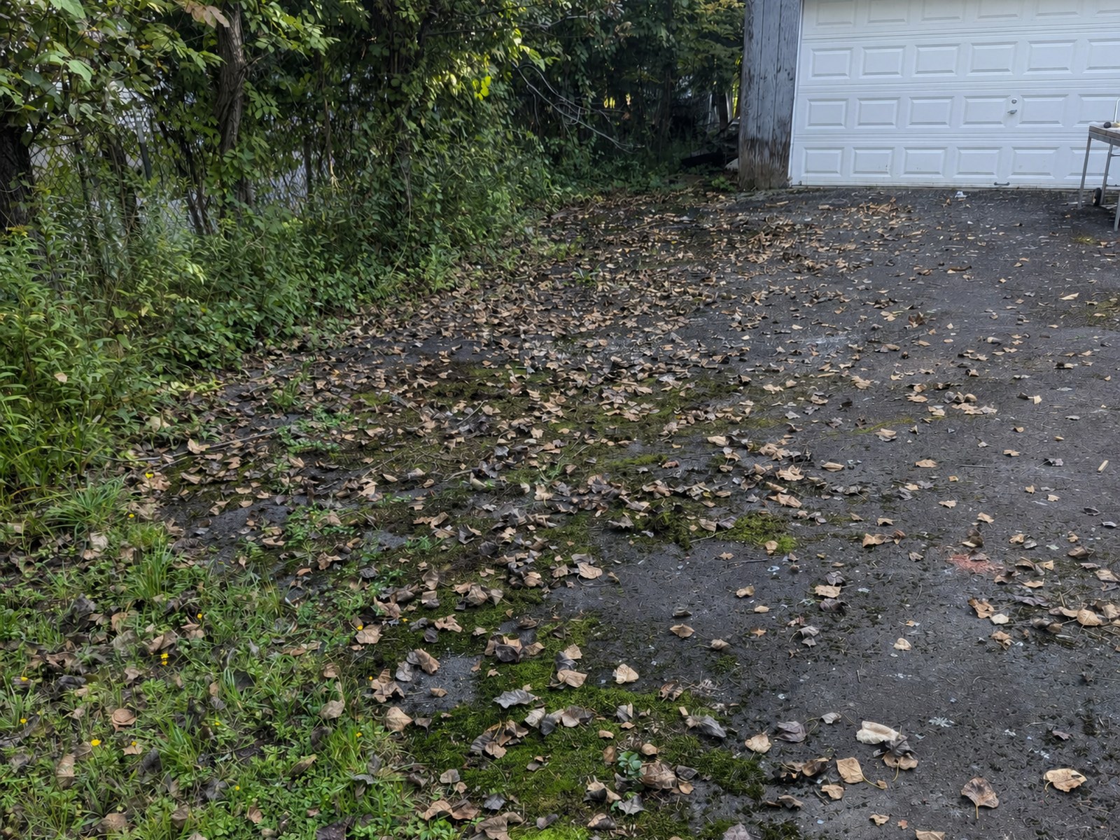 Driveway after junk cleanup