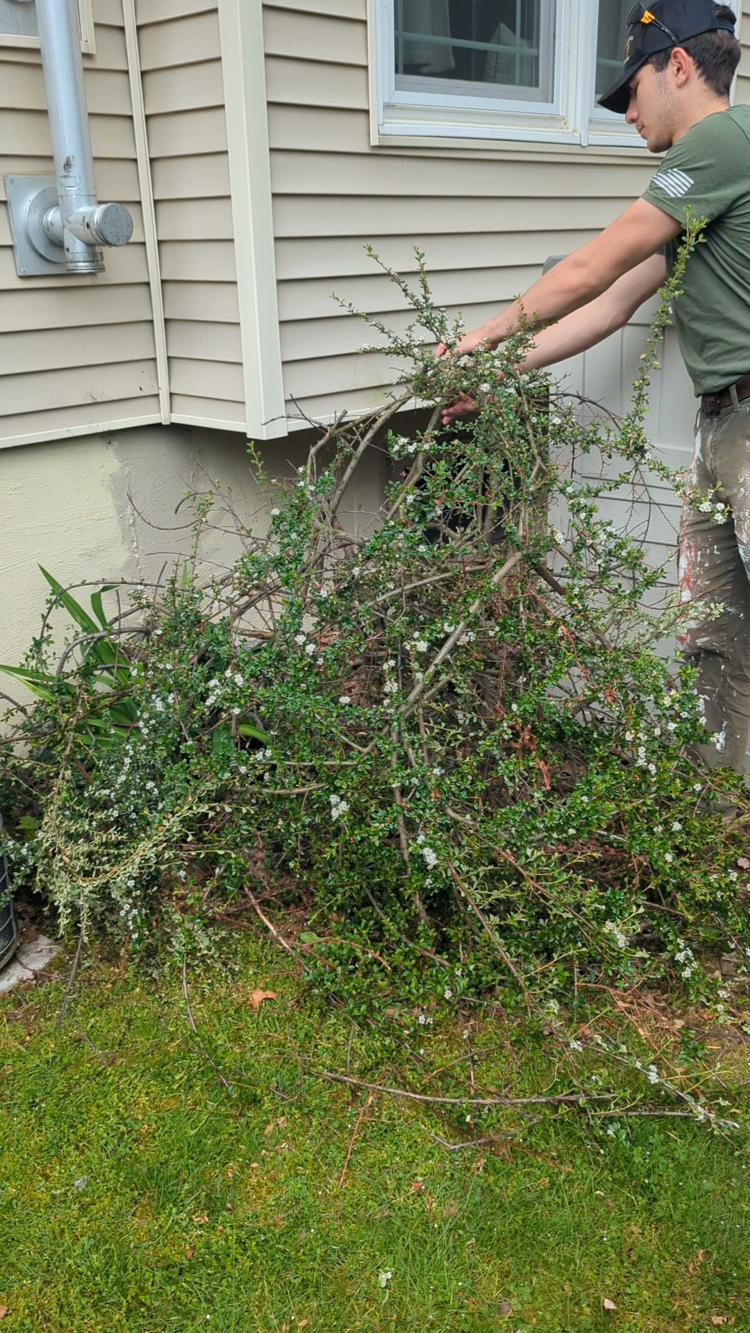 Crew member gathering cut brush for removal