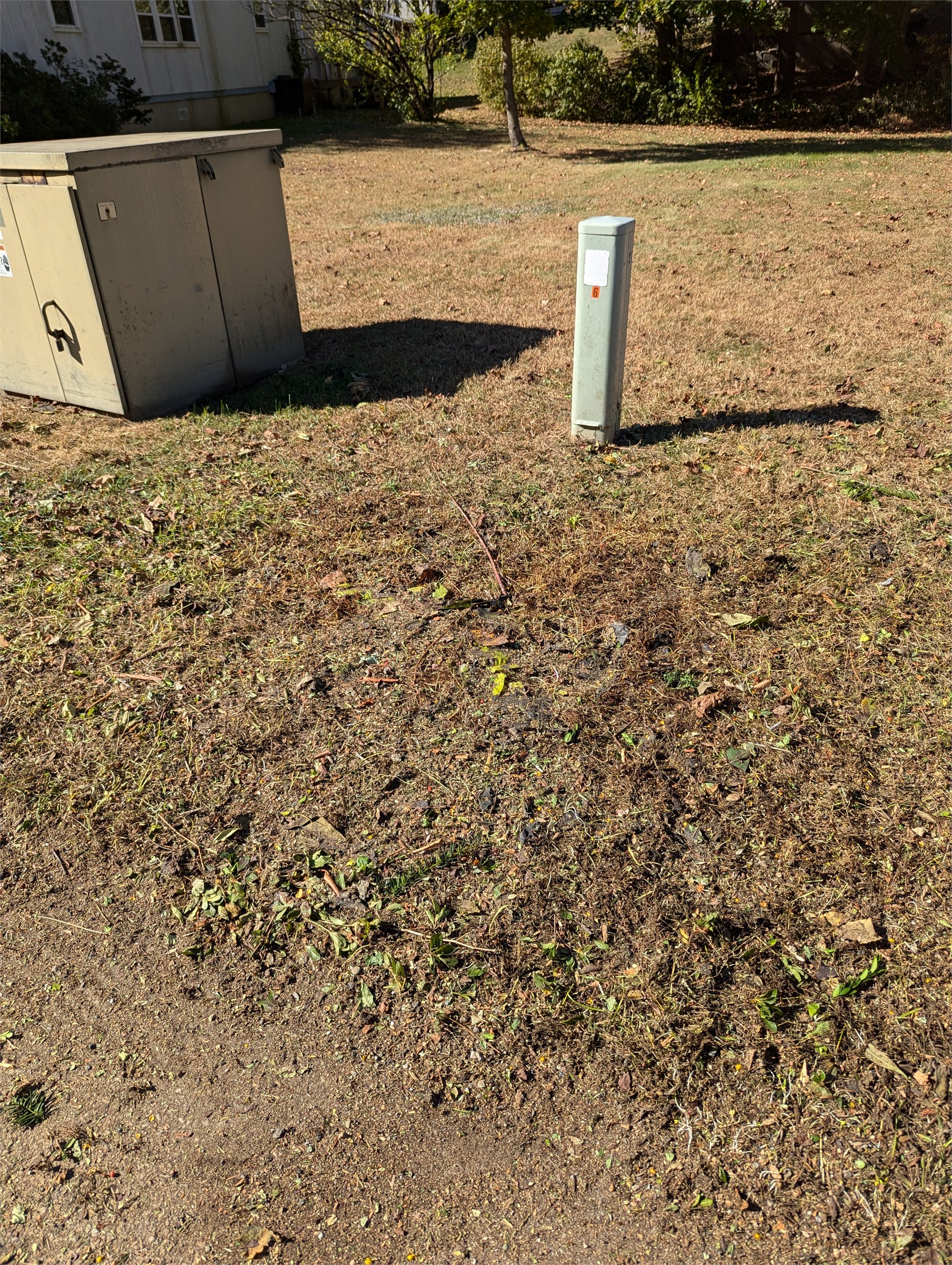 Yard after brush and debris removal