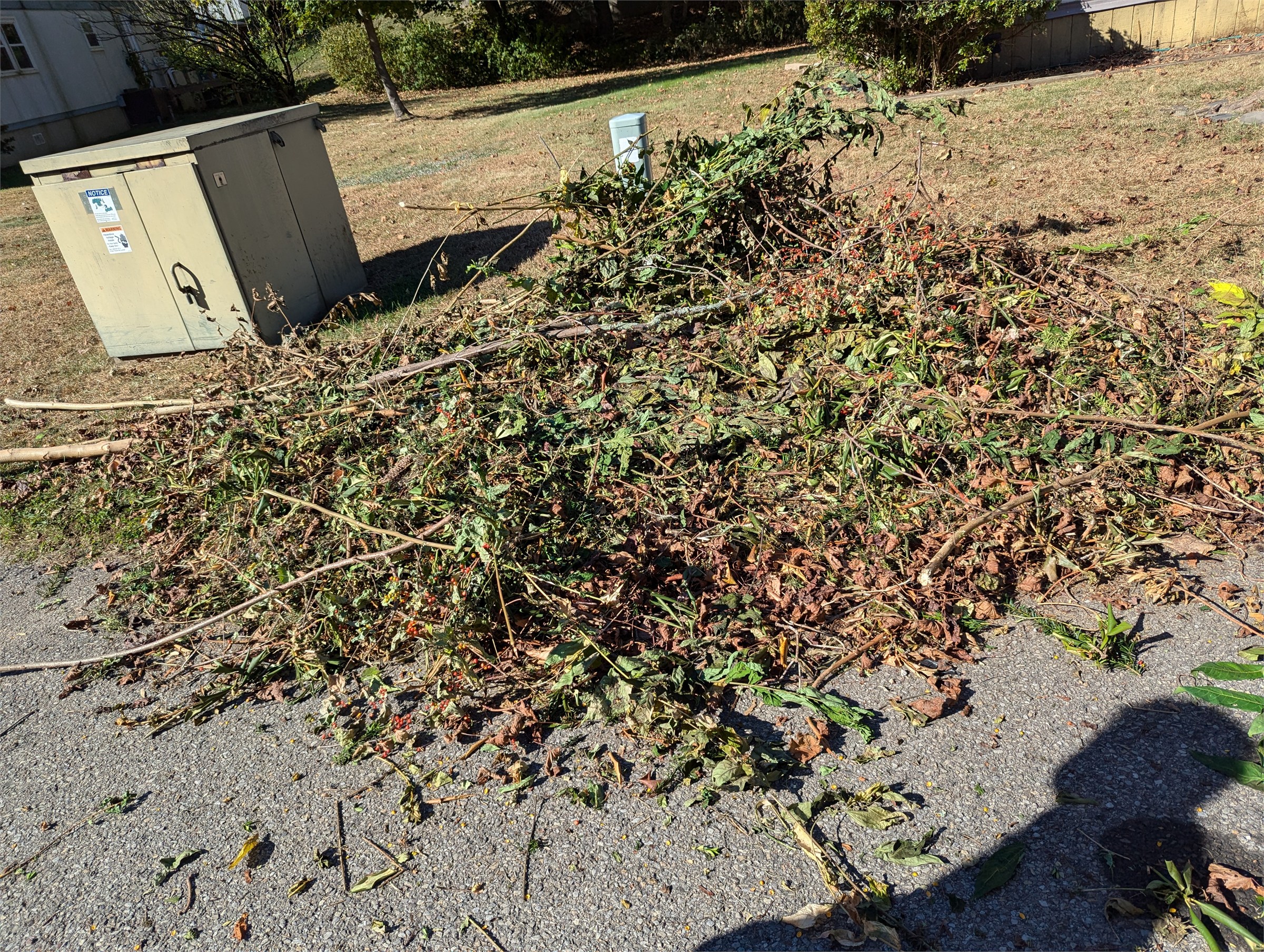 Brush and yard debris before removal