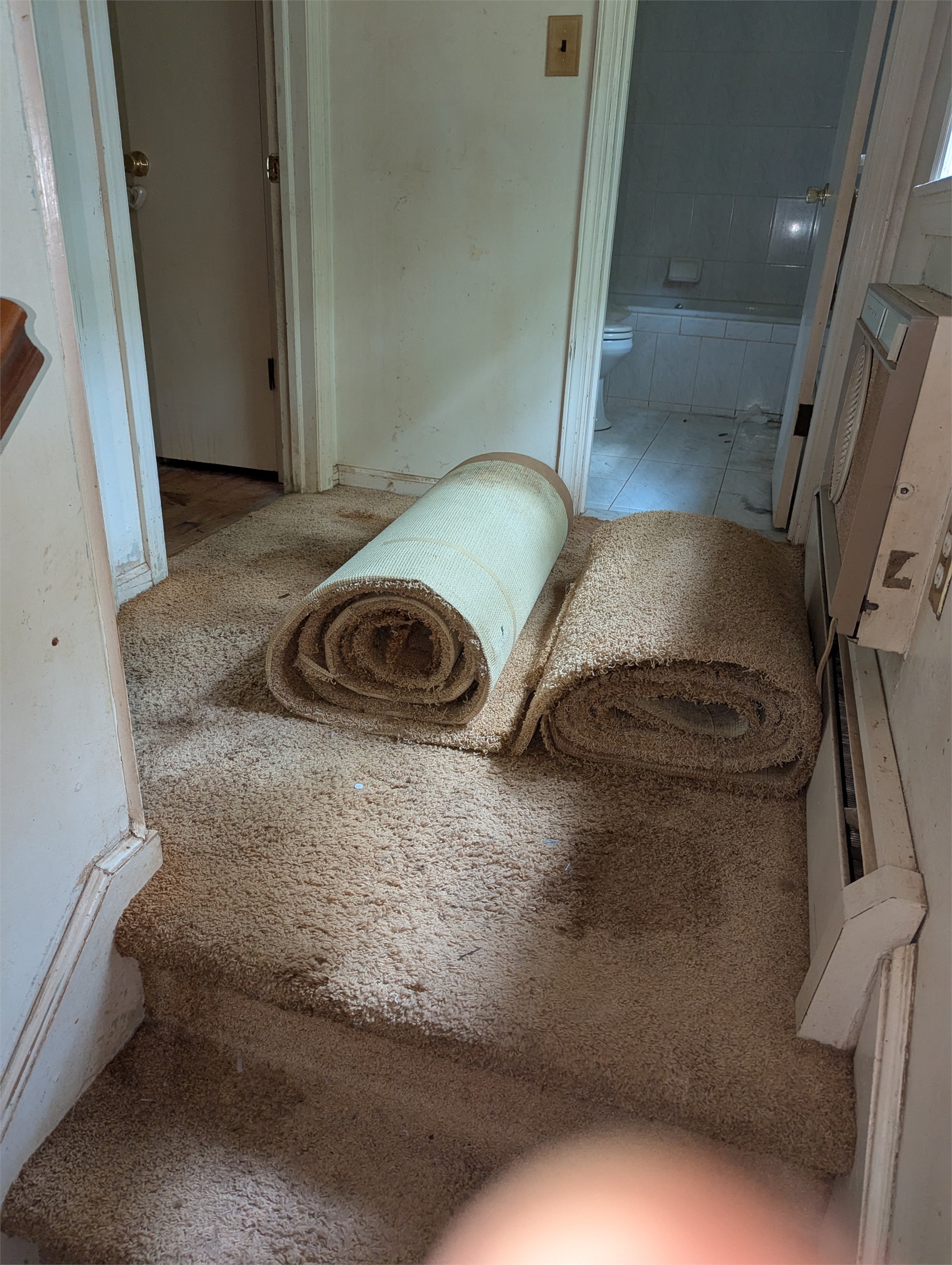 Crew removing old carpet