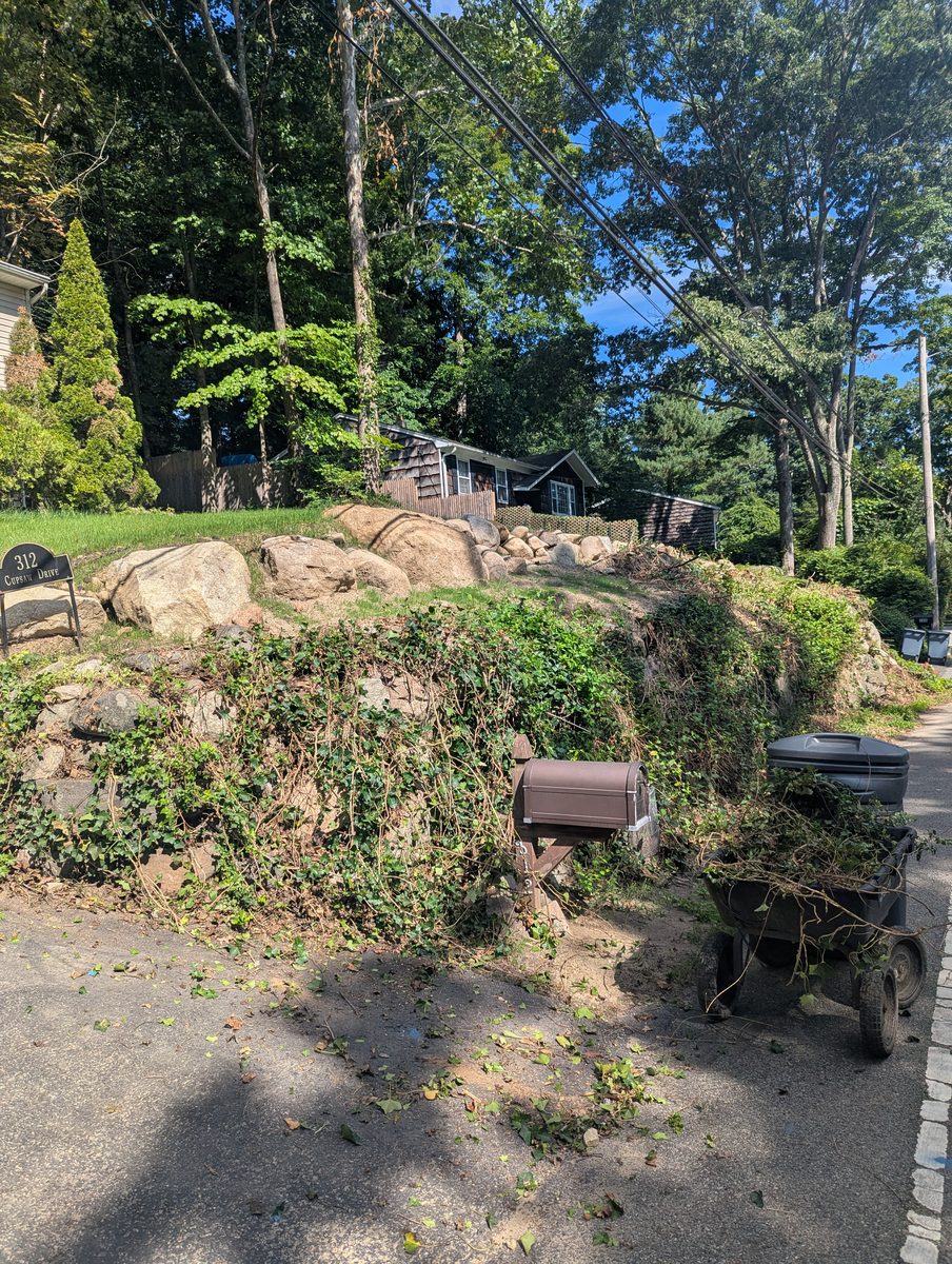 Cut brush and yard debris before removal in Ringwood, New Jersey