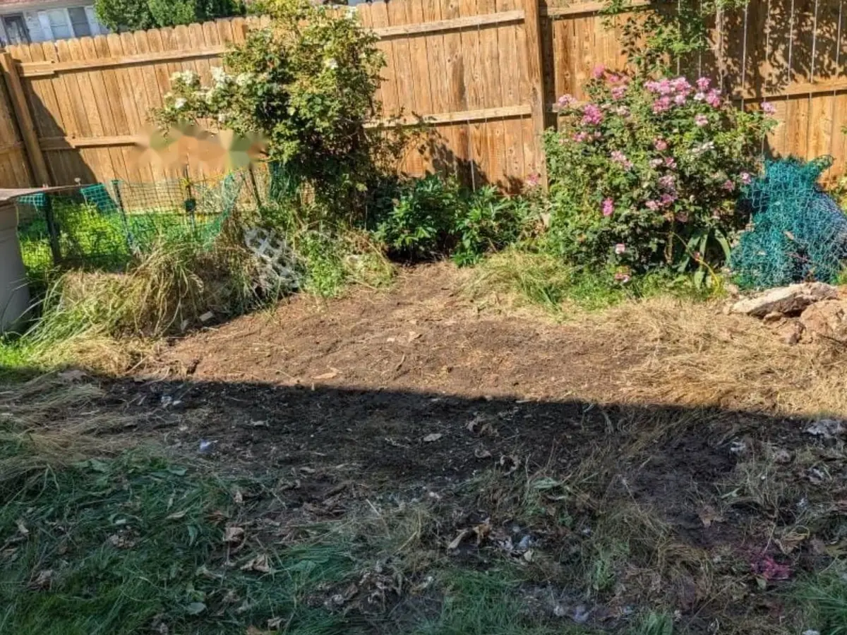 Backyard area after debris removal