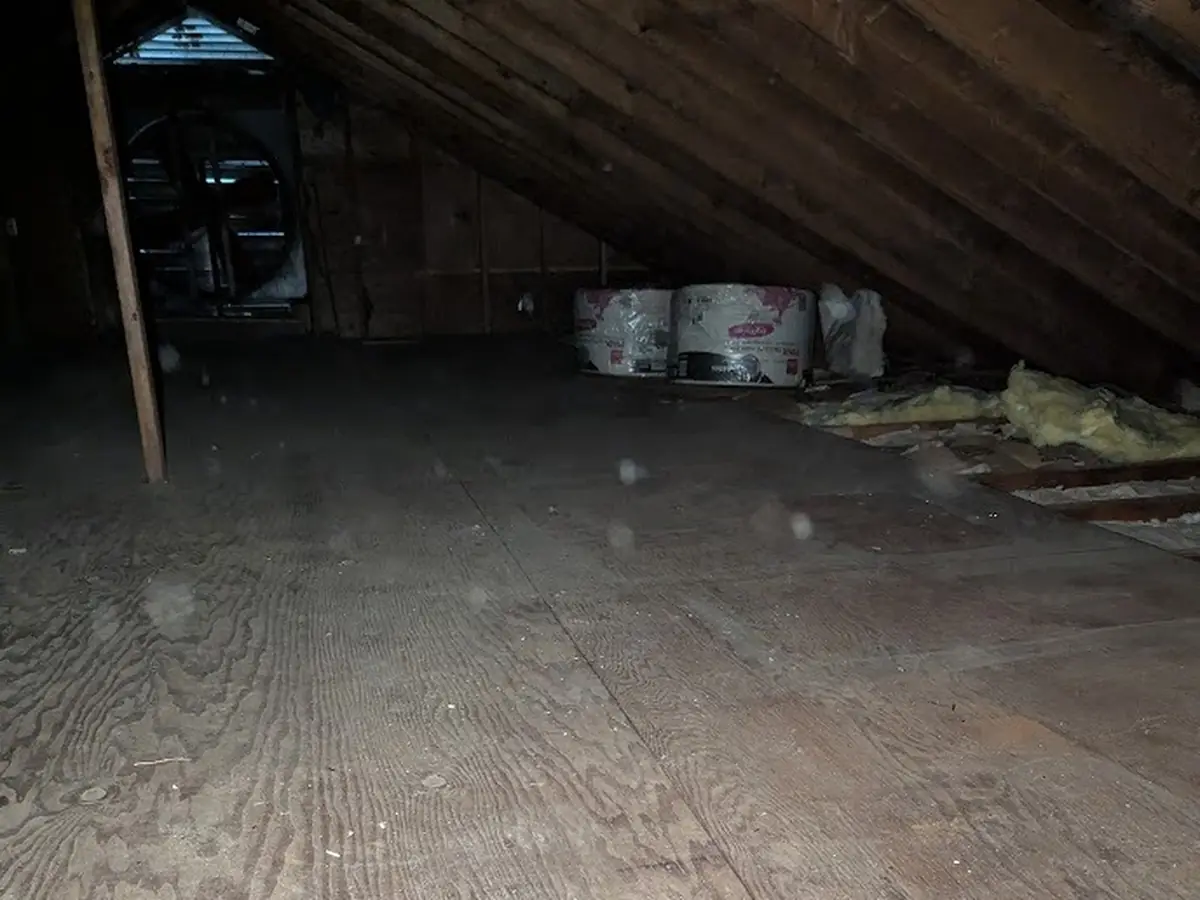 Attic after attic cleanout