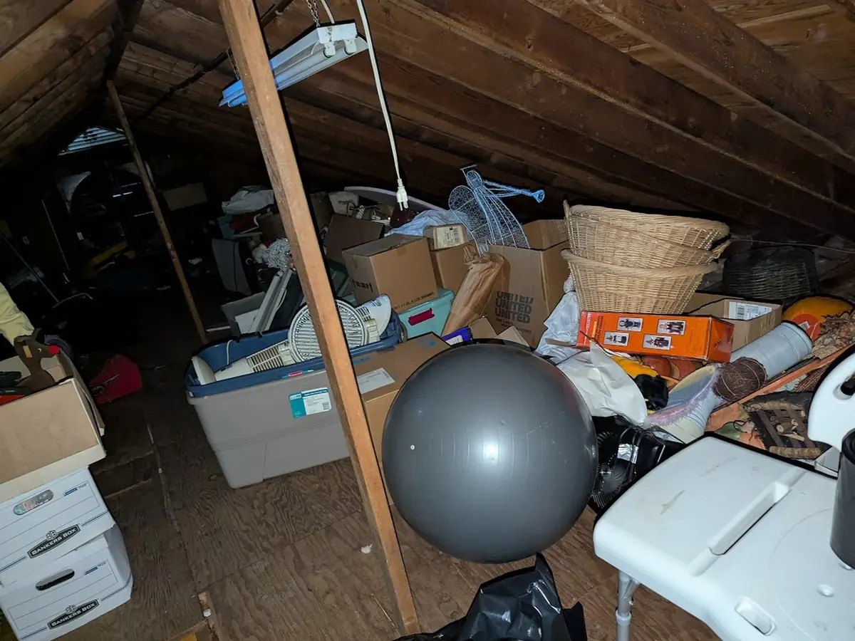 Attic before attic cleanout