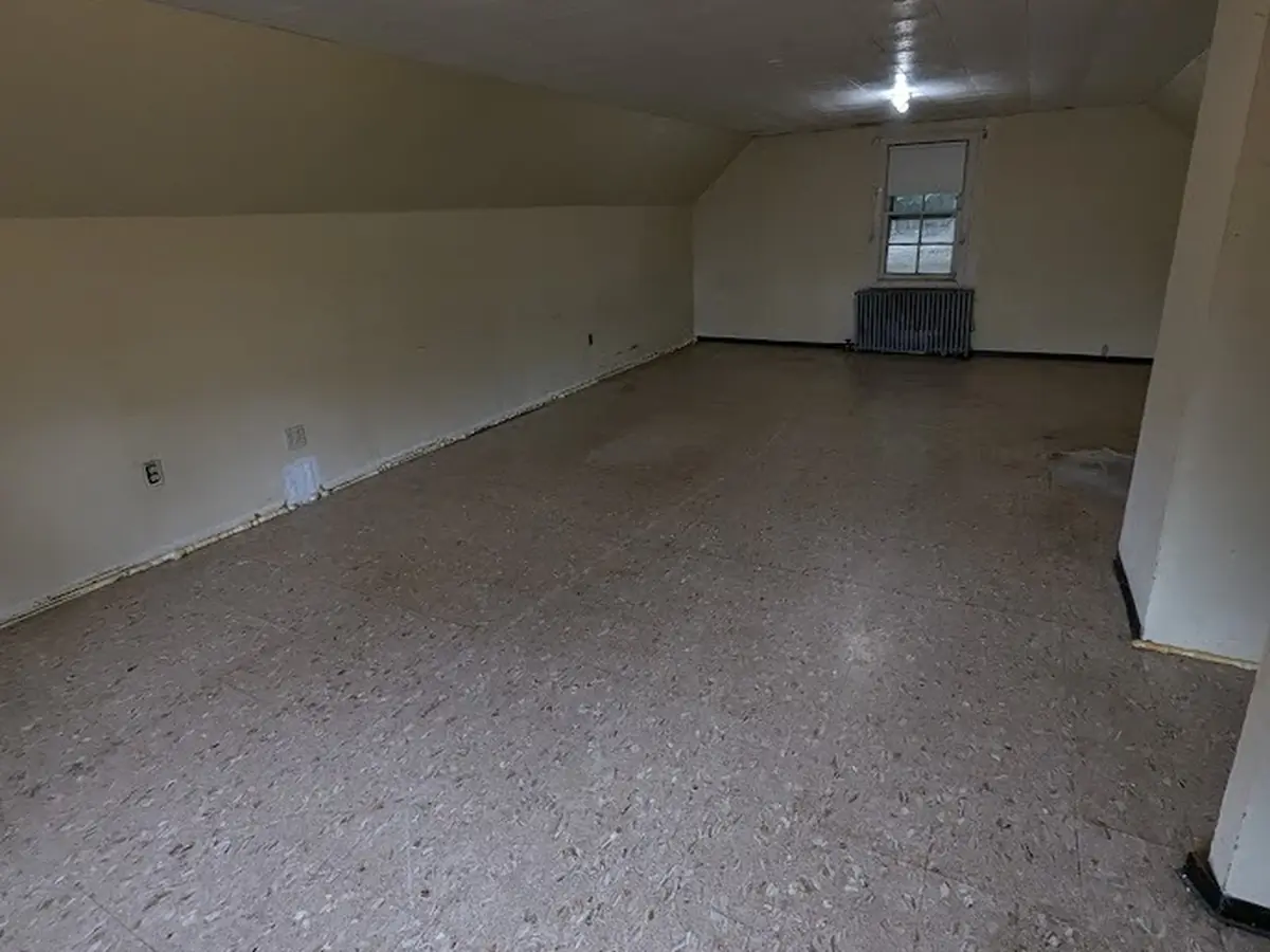 Basement after full cleanout