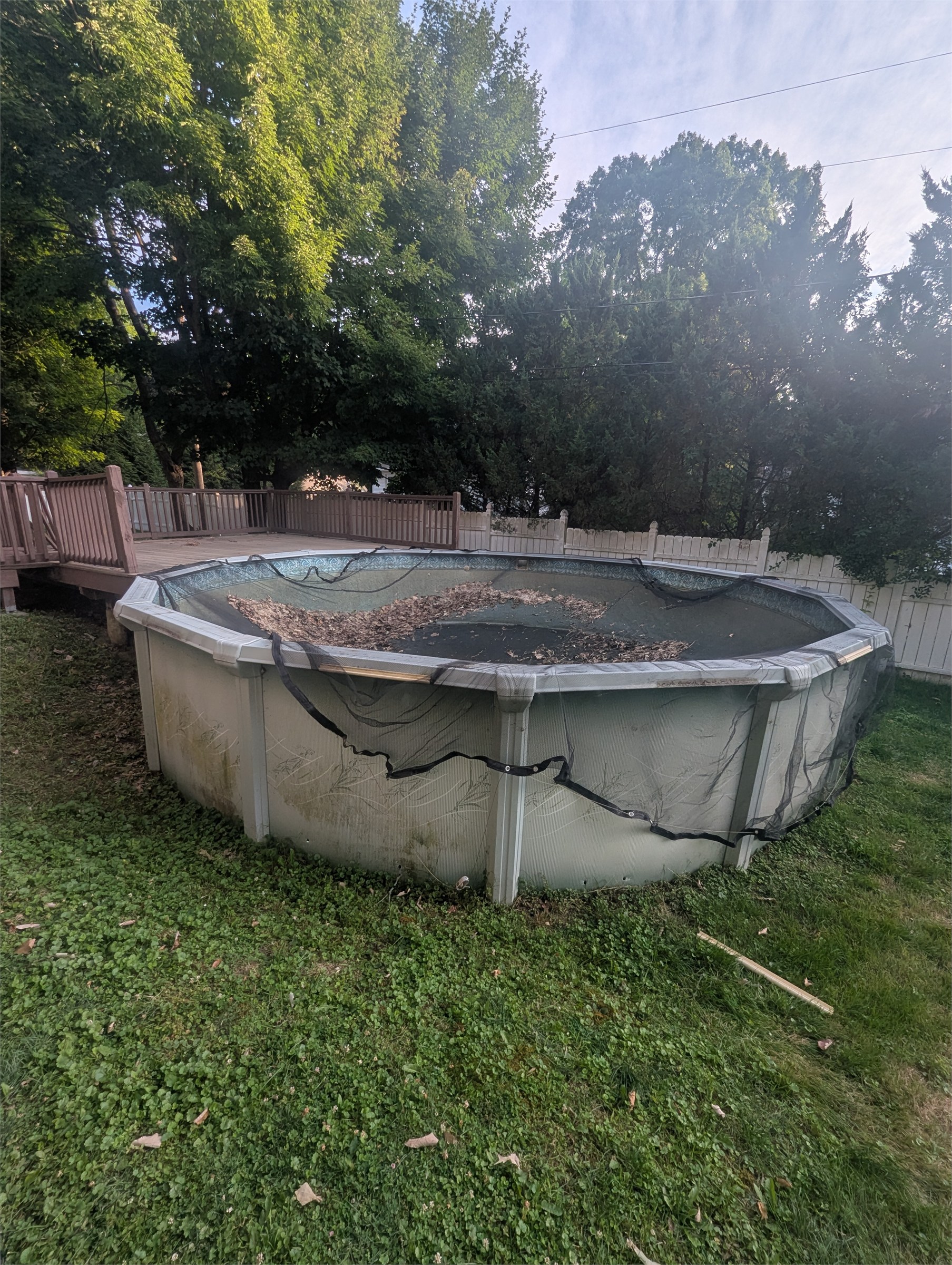Above-ground pool before removal