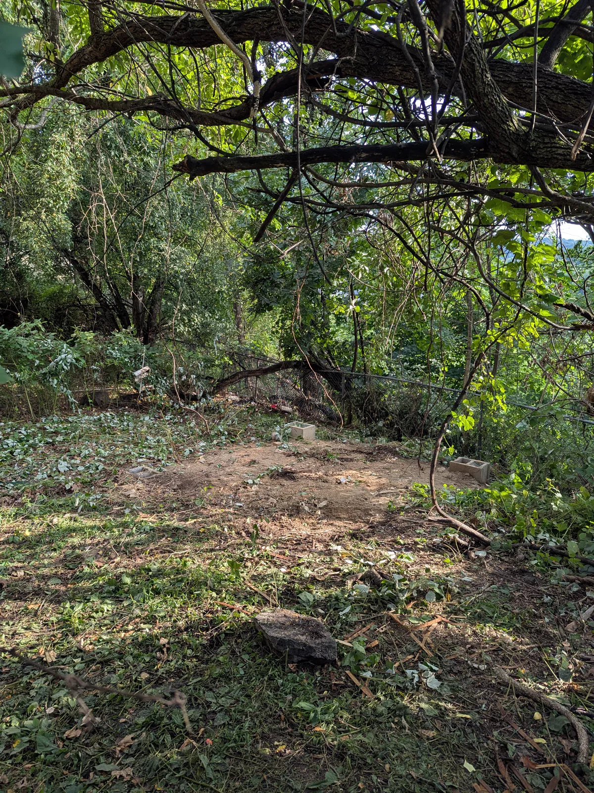 Cleared backyard after the shed and debris were removed