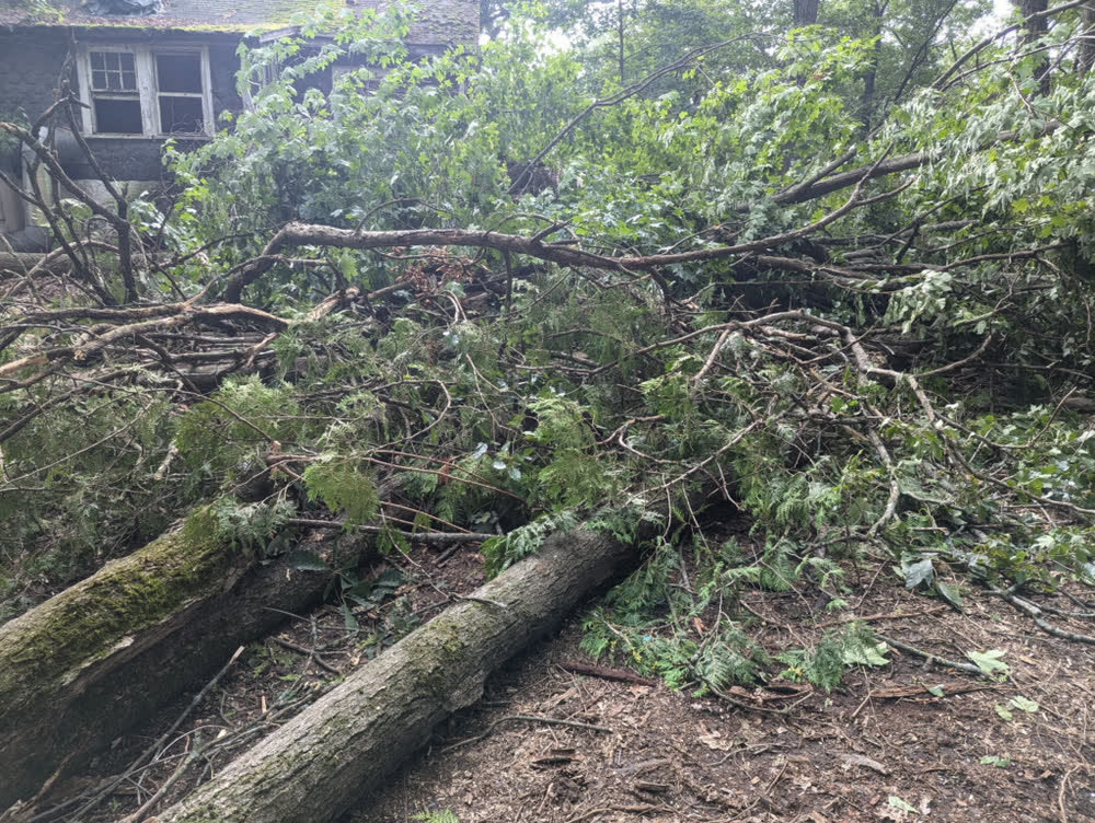 Storm Branch Cleanup - Junk Away Today
