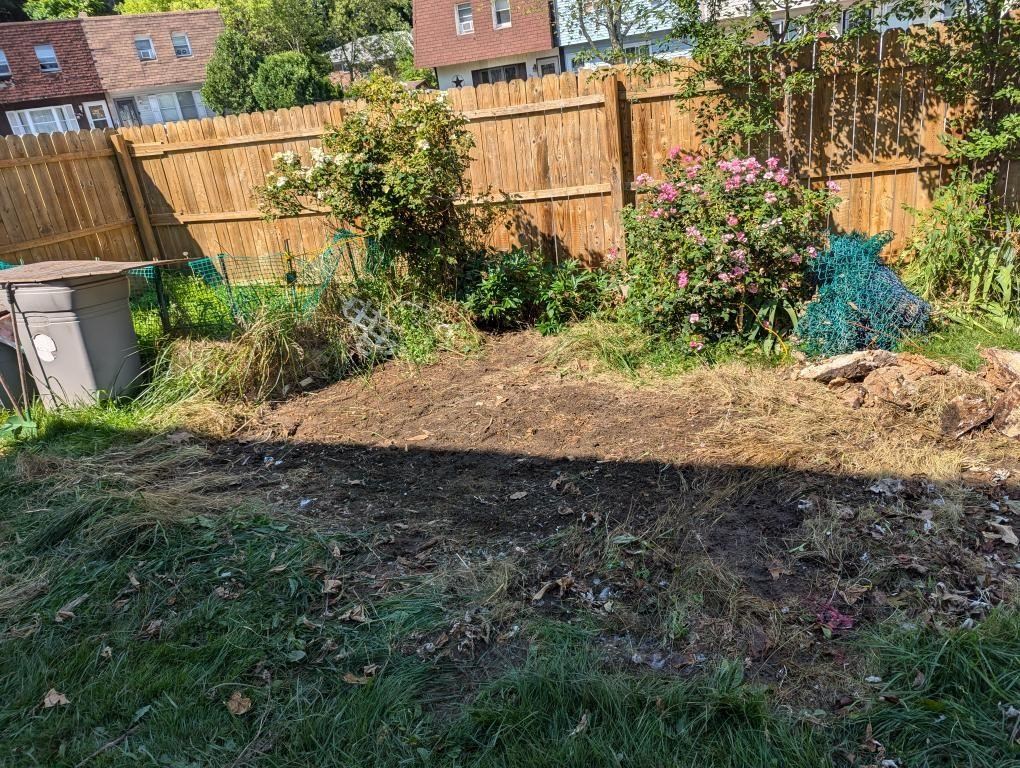 Yard after debris cleanup