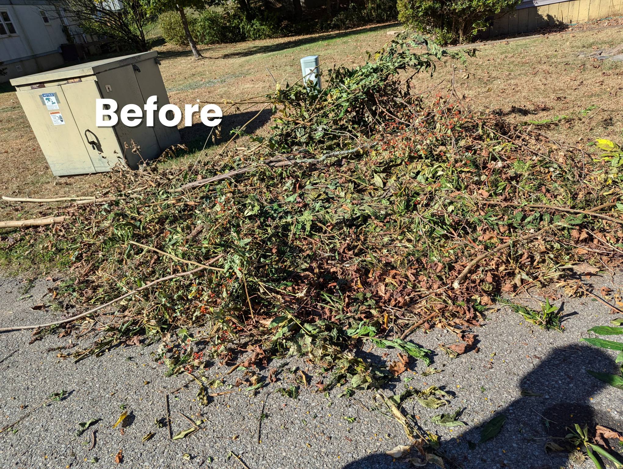 Outdoor debris ready for yard cleanup