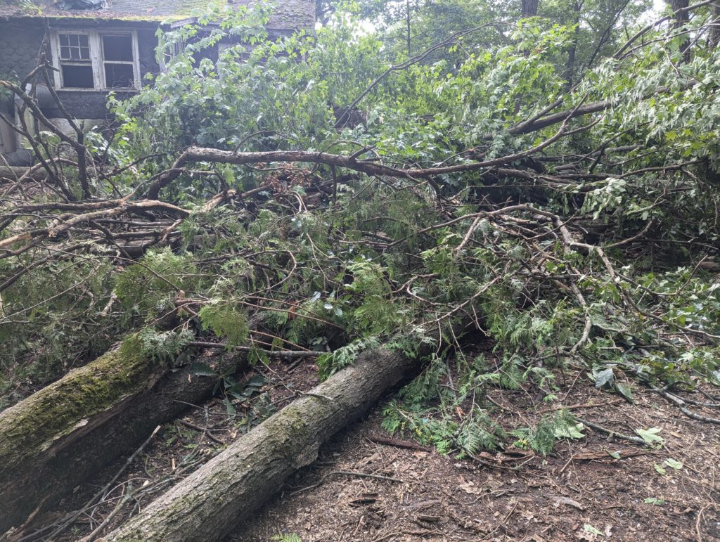 Yard Waste Removal — Junk Away Today