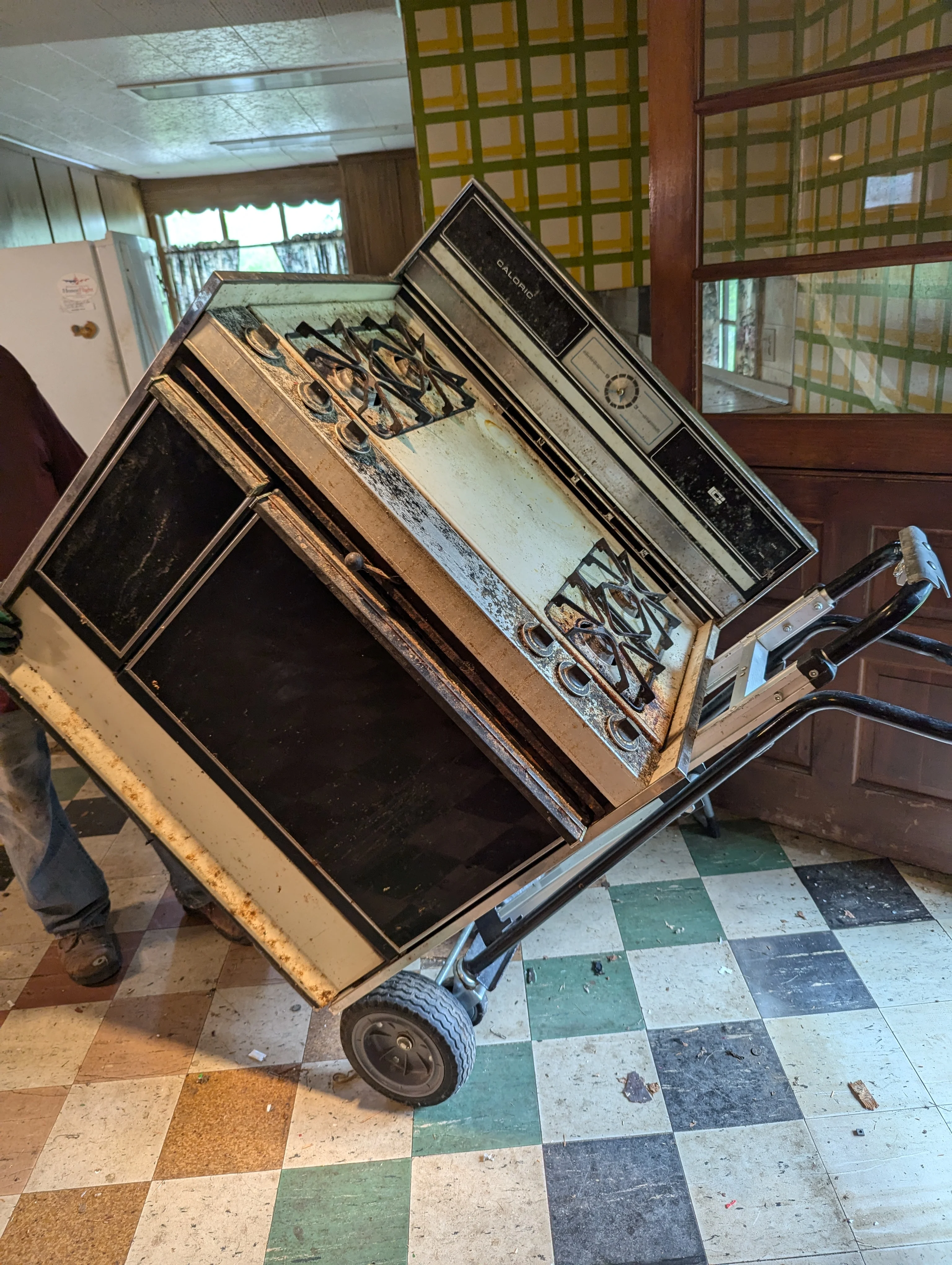 PXL_20240729_194706265