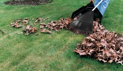 simple-steps-to-clean-up-your-yard-step-1